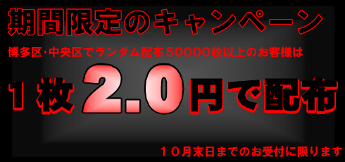 期間限定のキャンペーン価格